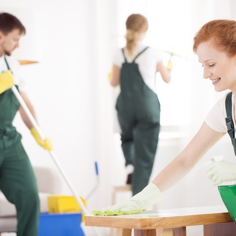 CLEANING SERVICE DURING WORK 1 - THOGA SPARKLE SOLUTIONS BALI